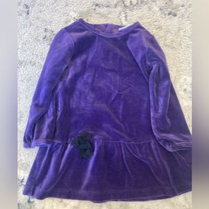 Hanna Andersson Purple Velvet Dress